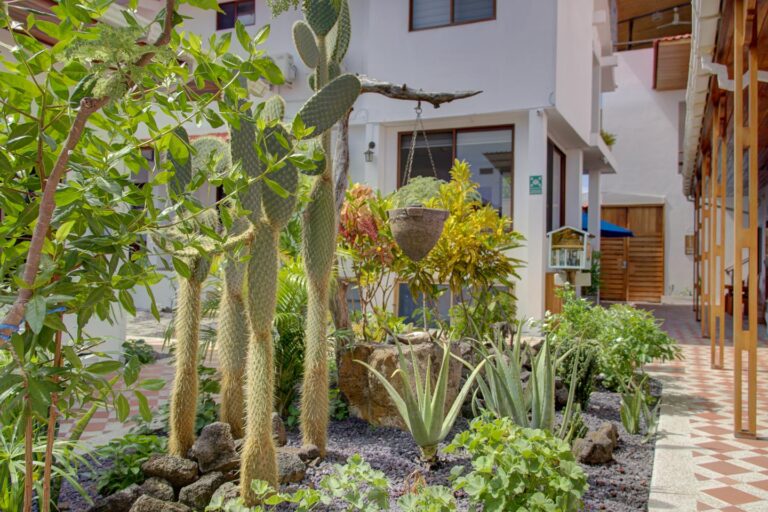 Social Areas - Plaza Luna Suites Hotel