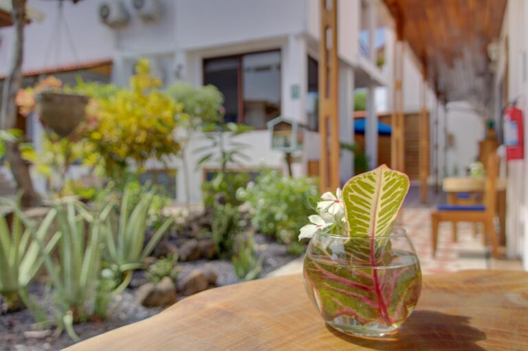 Social Areas - Plaza Luna Suites Hotel