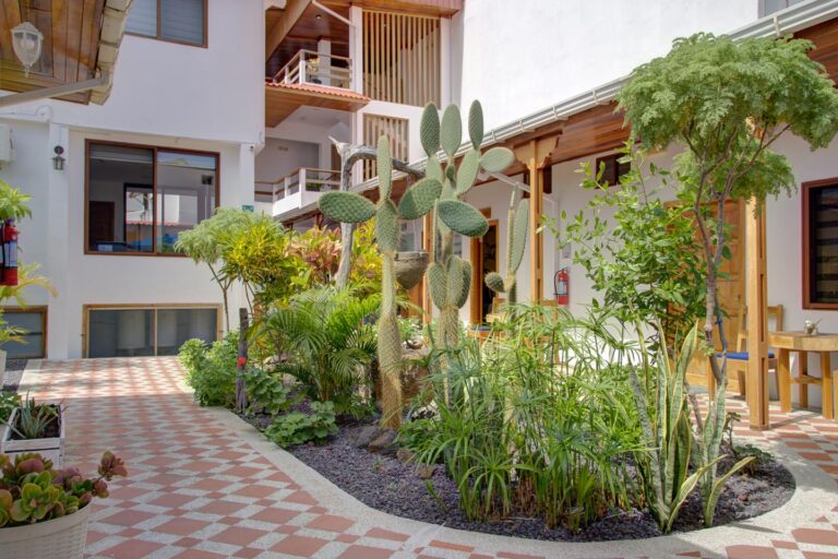 Social Areas - Plaza Luna Suites Hotel